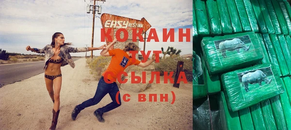 сатива Пенза